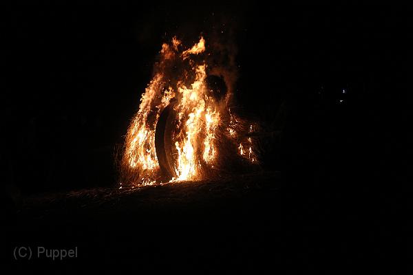 D-H0787-IMG_9793-F.JPG