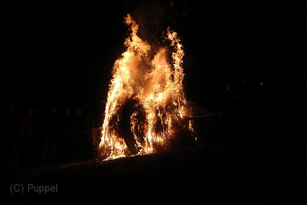 D-H0791-IMG_9795-F.JPG