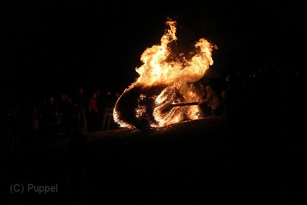 D-H0799-IMG_9801-F.JPG