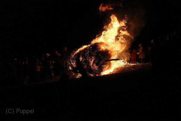 D-H0801-IMG_9803-F.JPG