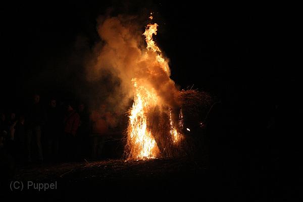D-H0891-IMG_9893-F.JPG