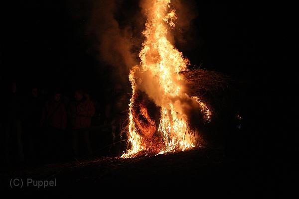 D-H0902-IMG_9904-F.JPG