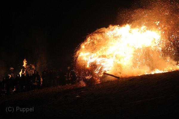 D-H0921-IMG_9923-F.JPG