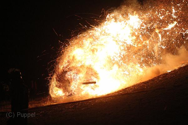 D-H0929-IMG_9931-F.JPG