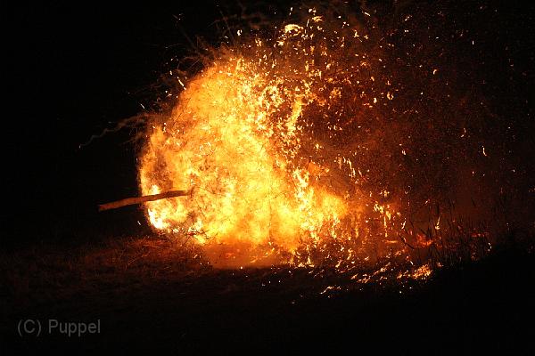 D-H0944-IMG_9946-F.JPG