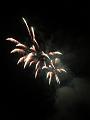 D-H1170-IMG_0170-Fa
