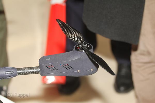 D-H3872-IMG_0737-F.JPG