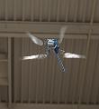D-H4306-IMG_0888-Fa