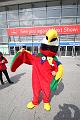 IMG_4135-H6607-IMG_2862-5