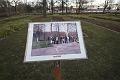 D-H3237-IMG_1634-5