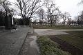 D-H3265-IMG_1657-5