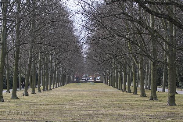 D-H3001-IMG_0491-F.JPG