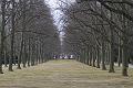 D-H3001-IMG_0491-F
