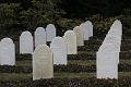D-H3076-IMG_0534-F