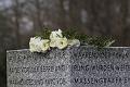 D-H3100-IMG_0554-F