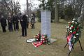 D-H3176-IMG_0584-F