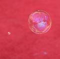 IMG_6086a