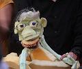 IMG_6159a