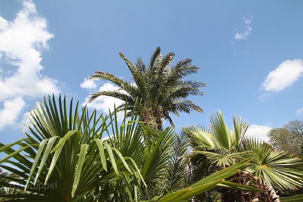 IMG_7427.JPG