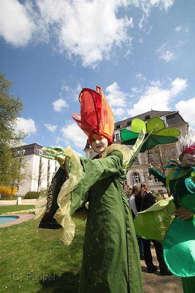 IMG_7473.JPG