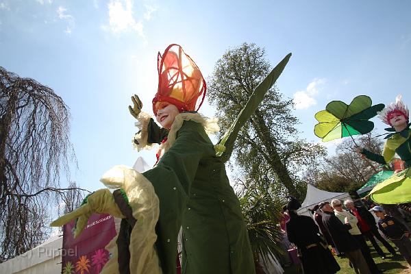 IMG_7545.JPG