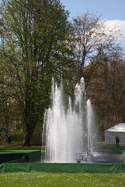 IMG_7975.JPG