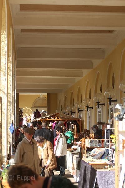 IMG_8113.JPG