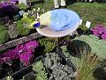 IMG_7452a