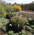 IMG_7598a