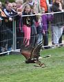 IMG_7757a