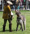 IMG_7804a