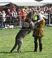 IMG_7810a