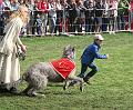 IMG_7820a