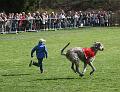 IMG_7827a