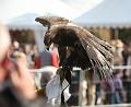 IMG_7865a