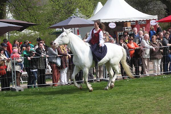 IMG_8473.JPG