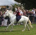 IMG_8481a