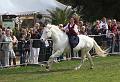 IMG_8493a