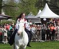 IMG_8507a