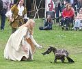 IMG_8648a