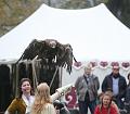 IMG_8658a