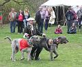 IMG_8697a