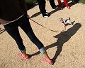 IMG_7437a