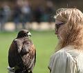 IMG_7747a