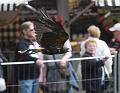IMG_7766a