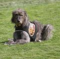 IMG_7802a