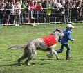 IMG_7822a