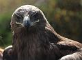 IMG_7872a