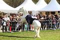 IMG_8413a