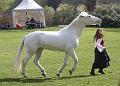 IMG_8422a